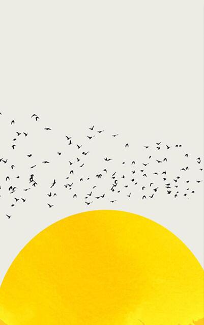 Lámina de Pájaros en Vuelo para Pared
