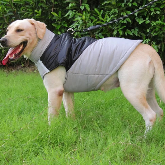 Chaleco Térmico Impermeable para Mascotas