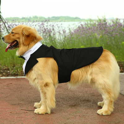 Traje Elegante con Pajarita para Perros - Image 6