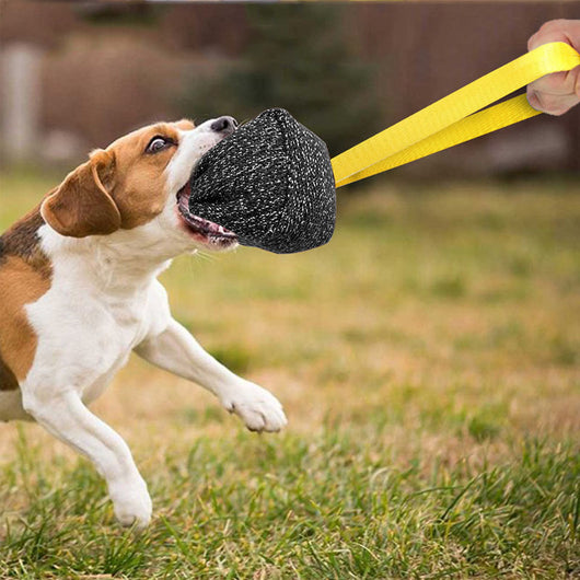 Juguete Masticable para Perros con Cáñamo - Almohada Interactiva para Entrenamiento