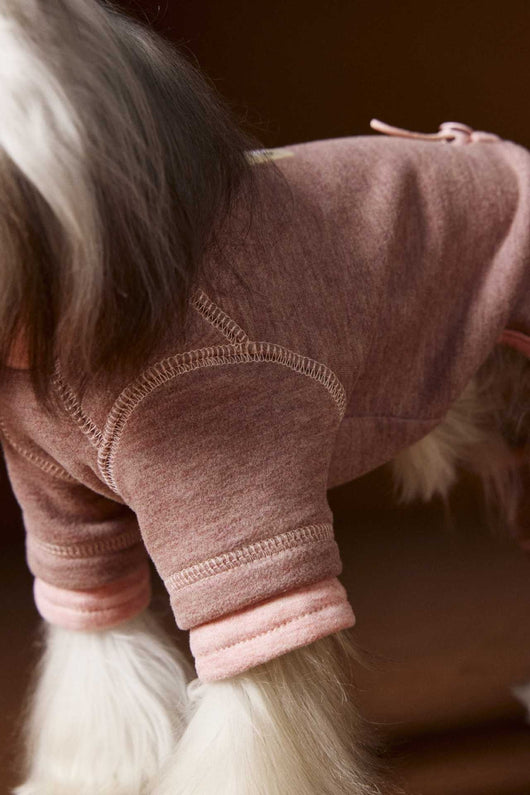 Ropa para Perros Teddy Schnauzer Bichon Bicolor Cómoda - Image 38