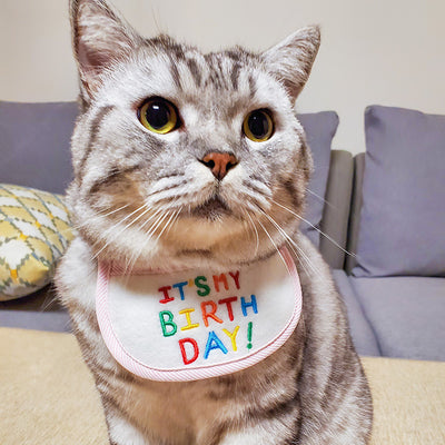 Pañoleta Triangular para Mascotas - Bandana Festiva para Gatos y Perros - Image 12
