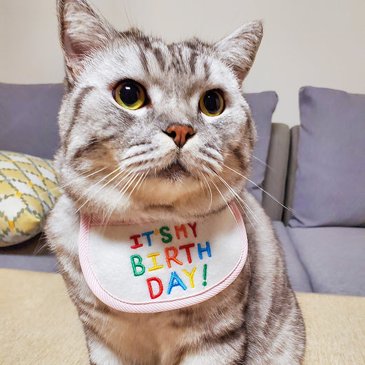 Pañoleta Triangular para Mascotas - Bandana Festiva para Gatos y Perros - Image 12