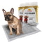 Pañales para Perros con Carbón Activado - Absorbentes y Desodorizantes