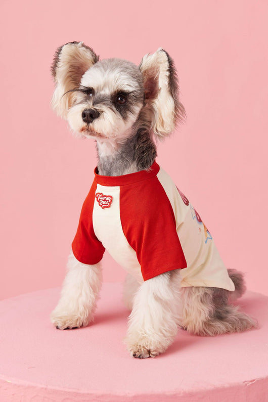 Ropa de Verano para Perros con Contraste de Colores - Image 28