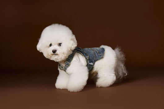 Falda Denim Tipo Peto sin Mangas para Perros Pequeños y Medianos - Image 12