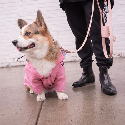 Impermeable Acolchado para Perros Estilo Retro Británico - Image 11