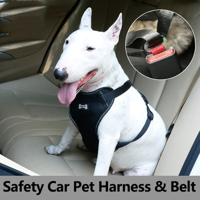 Cinturón de Seguridad Masajeador para Mascotas en Auto - Image 2