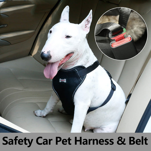 Cinturón de Seguridad Masajeador para Mascotas en Auto - Image 2