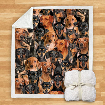 Manta Franela Estampada para Perros - Image 41