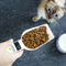 Cuchara Medidora Transparente para Alimento de Mascotas