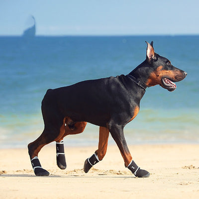 Zapatos Deportivos Impermeables Anti-resbalantes para Mascotas