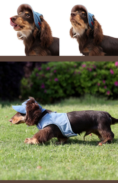 Sombrero Vaquero con Protección Solar para Mascotas - Image 12