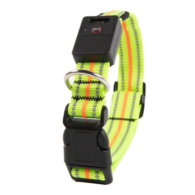 Collar Luminoso para Perro - Image 4