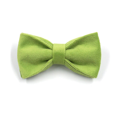 Collar para Perro Velvet Verde Matcha con Hebilla Dorada Premium - Image 5