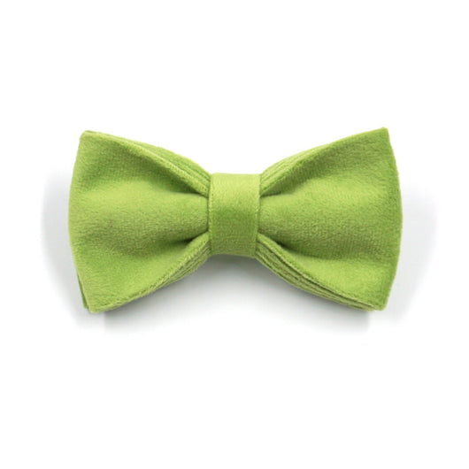 Collar para Perro Velvet Verde Matcha con Hebilla Dorada Premium - Image 5