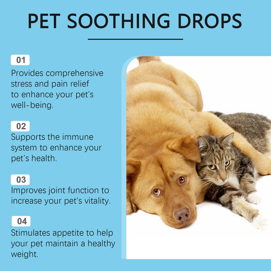 Gotas Inmunológicas Premium para Perros y Gatos - Suplemento Nutricional Reforzado - Image 4
