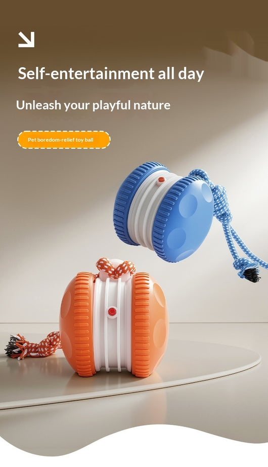 Pelota Interactiva Recargable para Gatos y Perros - Juguete Rodante Duradero - Image 7