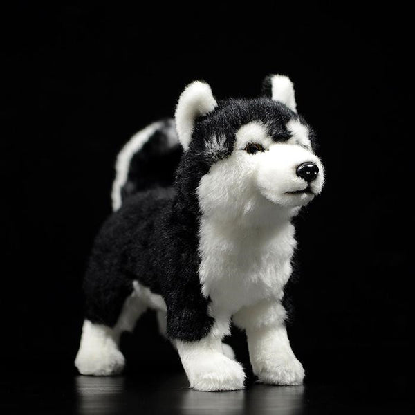 Peluche Husky de Ojos Mandarina - Juguete Perro Trineo