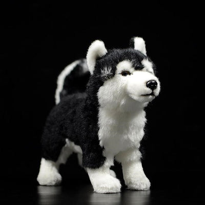 Peluche Husky de Ojos Mandarina - Juguete Perro Trineo