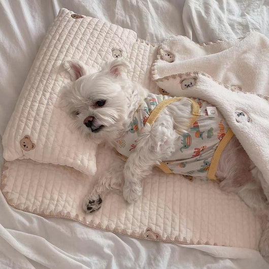 Cama Ortopédica para Perros con Funda Extraíble y Lavable - Image 8