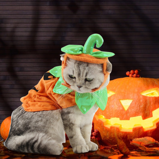 Disfraz de Gato Halloween con Decoración de Calabaza y Hojas Verdes - Image 17