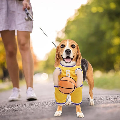 Disfraz de Jugador de Baloncesto para Perros - Outfit Deportivo Divertido - Image 13