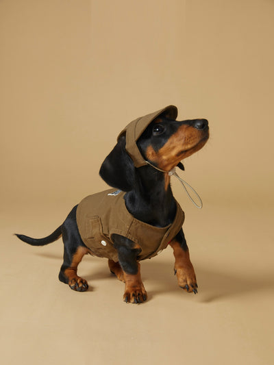 Chaleco Deportivo para Mascotas - Ropa de Trabajo Resistente a Manchas - Image 11