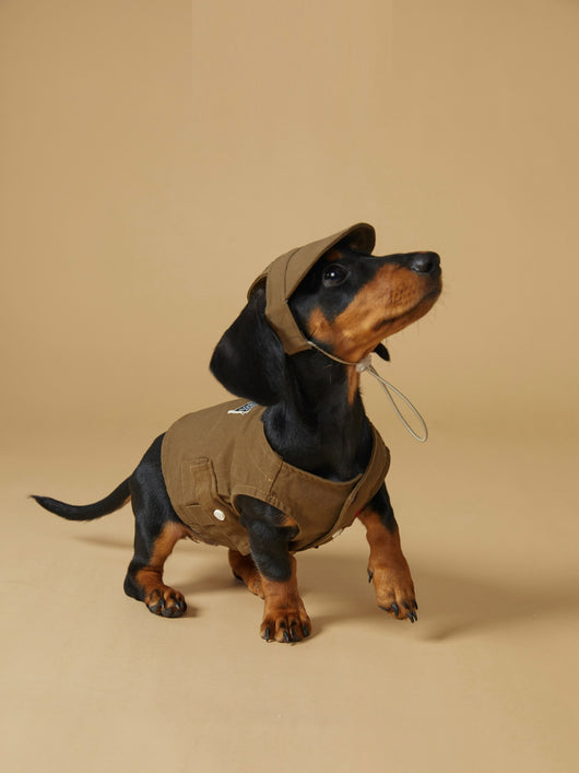 Chaleco Deportivo para Mascotas - Ropa de Trabajo Resistente a Manchas - Image 11