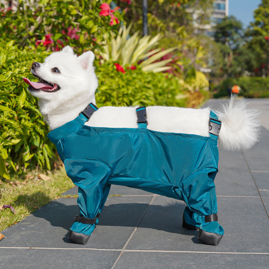 Traje Protector Antipolvo para Mascotas con Pañal Integrado - Image 9