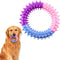 Juguete Masticable para Perros - Anillo de Goma para Dentición