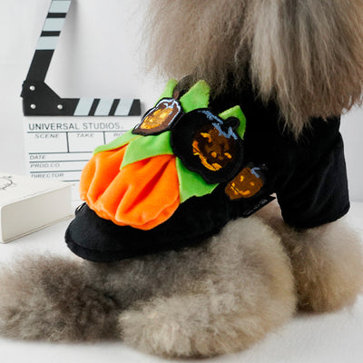 Ropa de Abrigo para Mascotas - Otoño e Invierno - Image 10