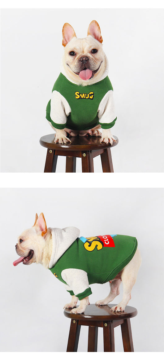 Ropa de Moda para Mascotas Otoño e Invierno - Image 8