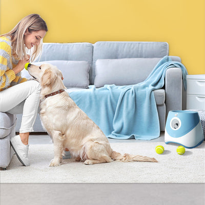 Two automatic dog ball throwers, one yellow and white, one green and white, on a wooden desk. - Image 2