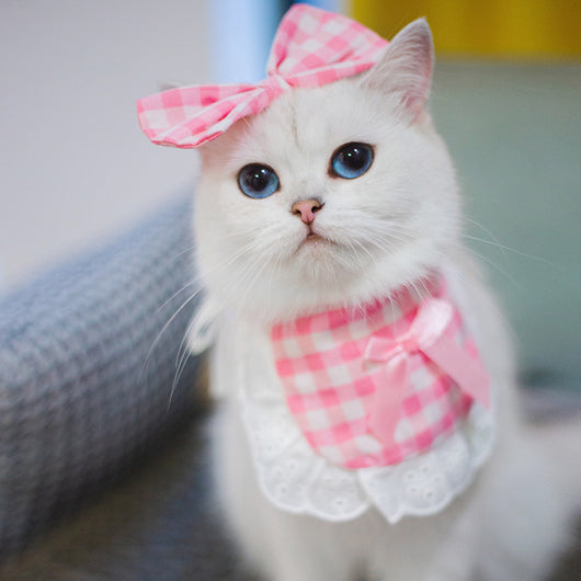 Babero Pañoleta Encaje Gato Estilo Princesa con Decoración - Image 34