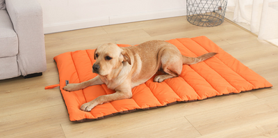 Tapete Impermeable Antiácaro para Mascotas - No Retiene Pelos - Image 21