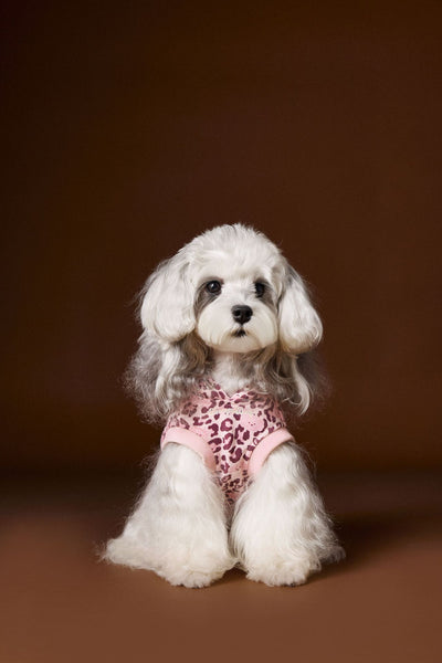 Suéter Tipo Hoodie sin Mangas Estampado Leopardo para Perros Bichon Schnauzer Yorkshire - Image 13