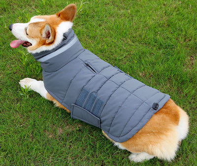 Abrigo Impermeable para Perros Grandes - Trinchera Térmica Corgi y Razas Medianas - Image 17