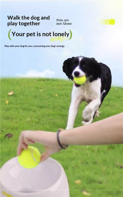 Lanzador Automático de Pelotas de Tenis para Perros - Image 11