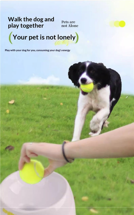 Lanzador Automático de Pelotas de Tenis para Perros - Image 11