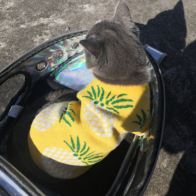 Ropa Navideña para Mascotas con Estampado de Piña - Abrigo Otoño Invierno - Image 3