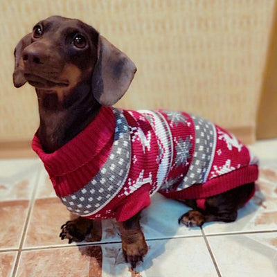 Suéter Navideño Cuello Alto para Mascotas - Diseño Tejido Festivo - Image 6