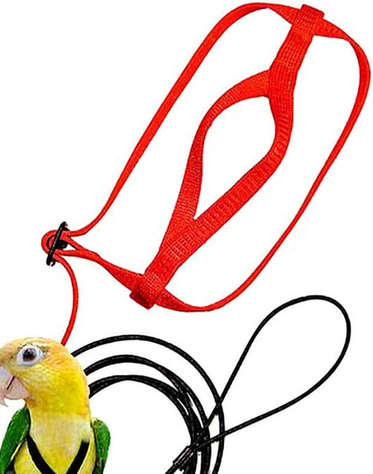 Red bird harness with a black leash shown on a yellow and green parrot. - Image 8