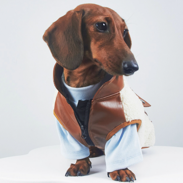 Abrigo Térmico de Cuero para Mascotas - Otoño e Invierno
