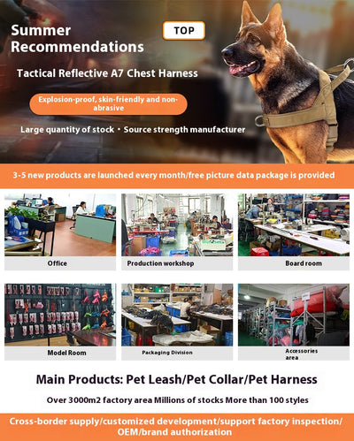 Correa Retráctil Reflectante para Mascotas con Amortiguador - Image 16