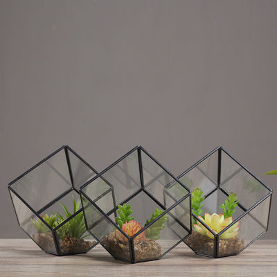Invernadero de Vidrio Cuadrado Oblicuo - Maceta Transparente para Plantas - Image 8