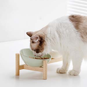 Comedero Elevado para Gatos con Soporte de Madera - Cuencos Cerámicos Antideslizantes - Image 8