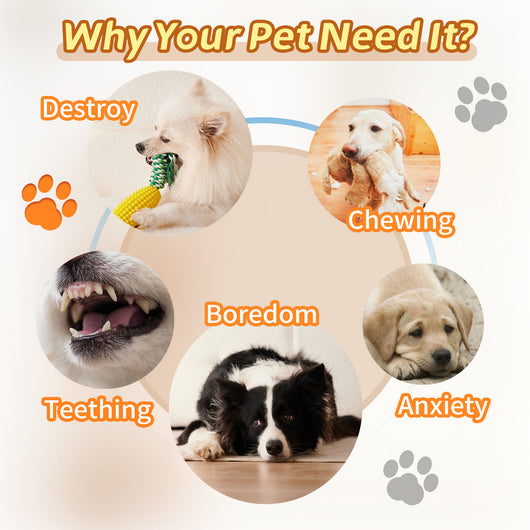 Juguete Masticable Dental para Cachorros - Limpieza de Dientes e Interactivo - Image 4