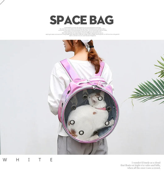Mochila Transportadora Transparente para Mascotas - Portátil y Respirable - Image 9