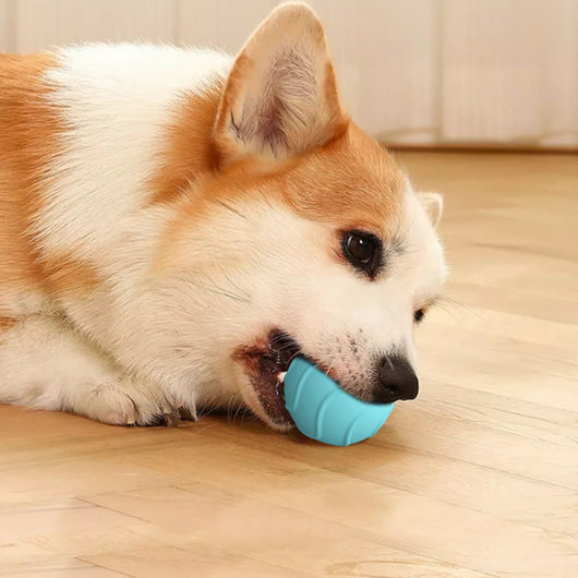 Pelota Interactiva Automática con Salto para Gatos - Juguete Eléctrico de Entrenamiento - Image 23